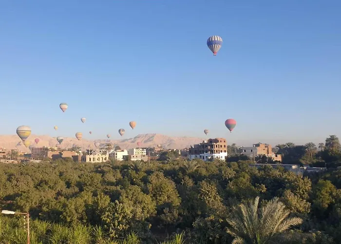 Egypt Villa Garden