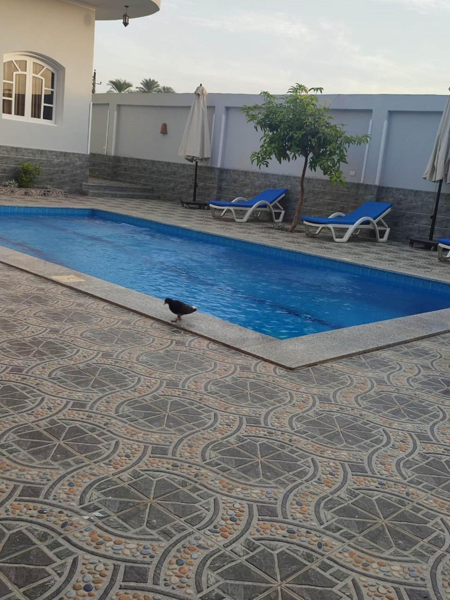 Egypt Garden Apartment Luxor