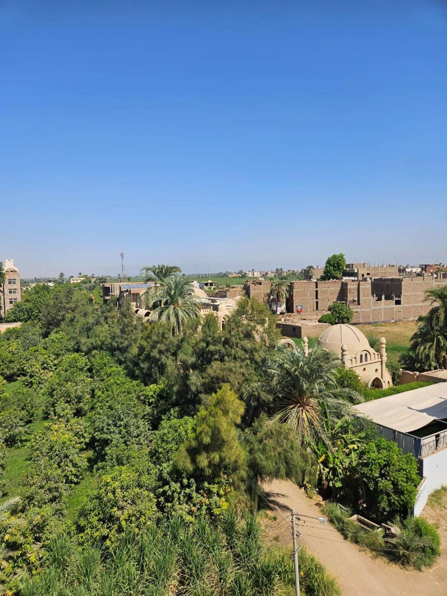 Apartment Egypt Garden Luxor