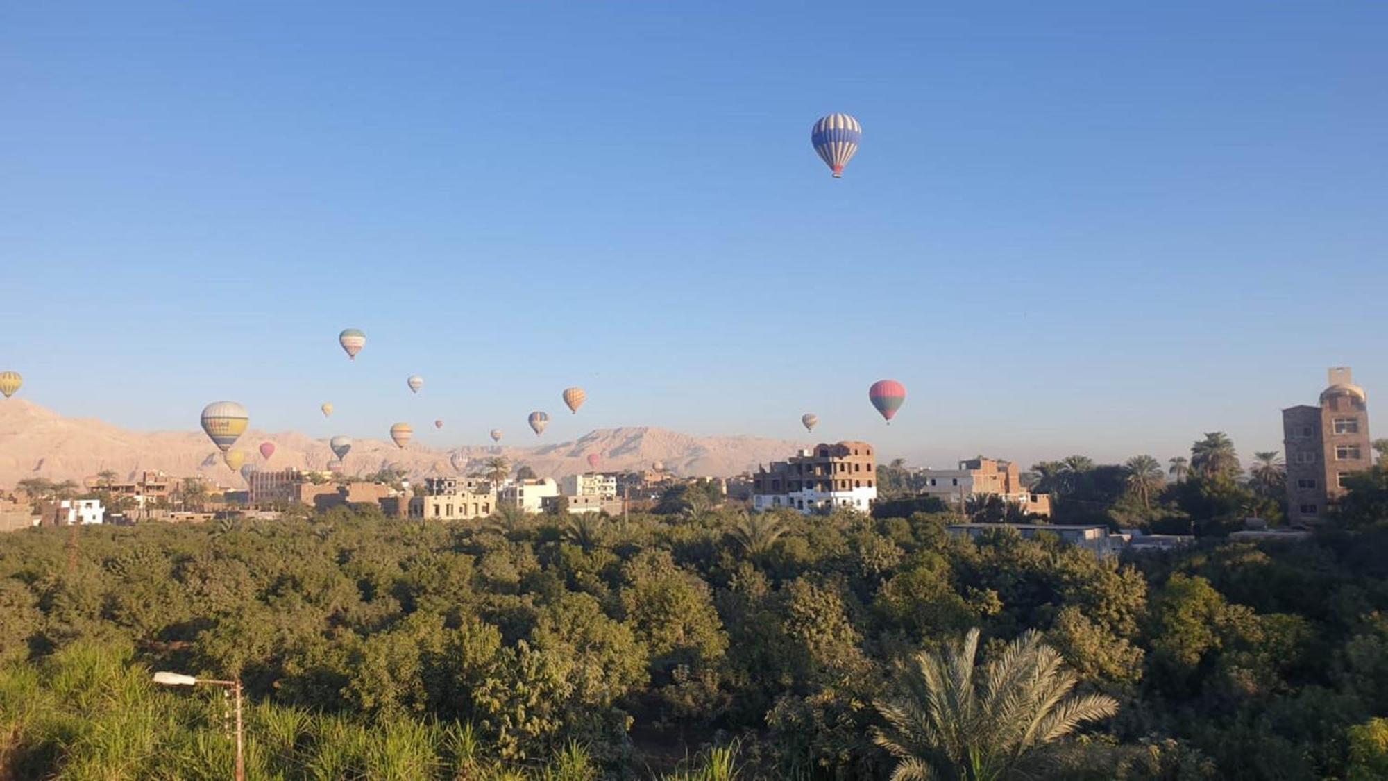 Egypt Garden Apartment