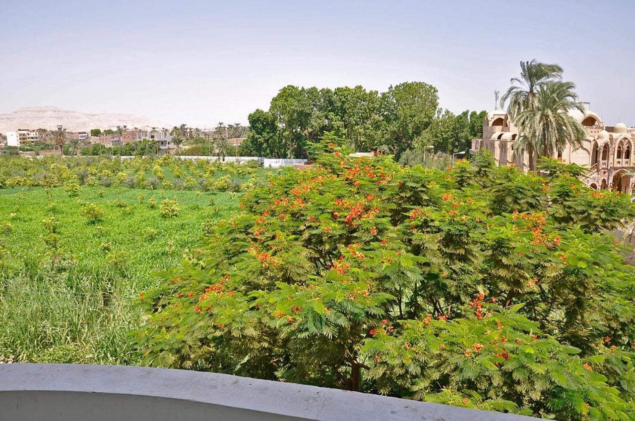 Egypt Garden Luxor